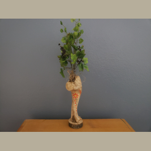 Vases