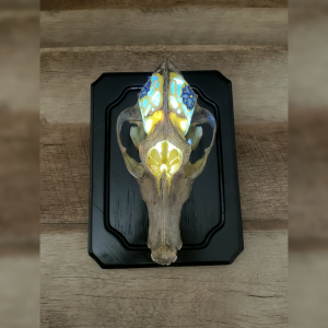 Skulls