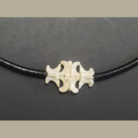 snake vertebrae bone necklace
