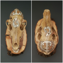 Polynesian Inspired Coyote Skull